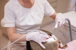 歯石除去・歯面清掃