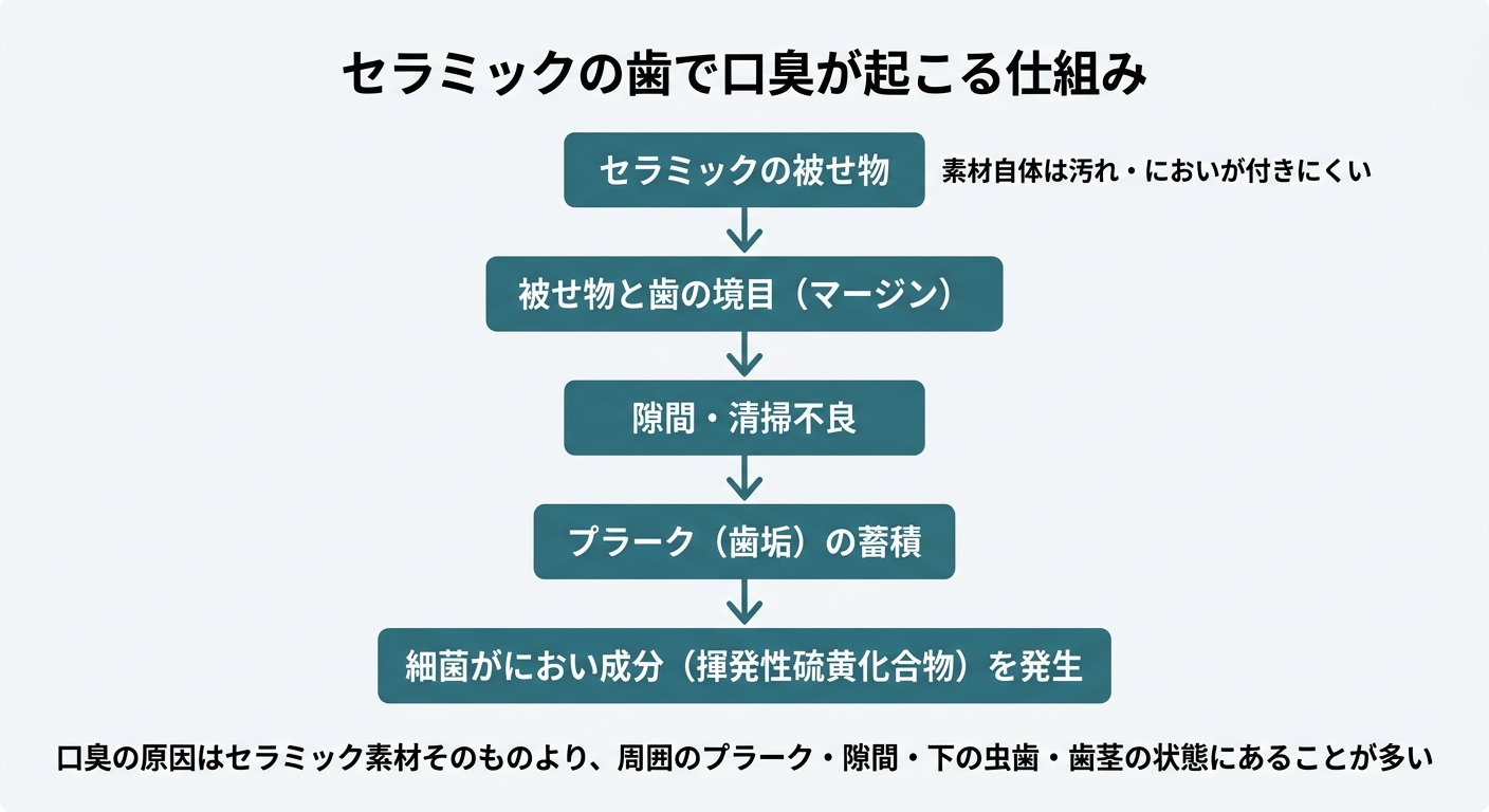 セラミックの歯で口臭は起こる?まず知っておきたい前提