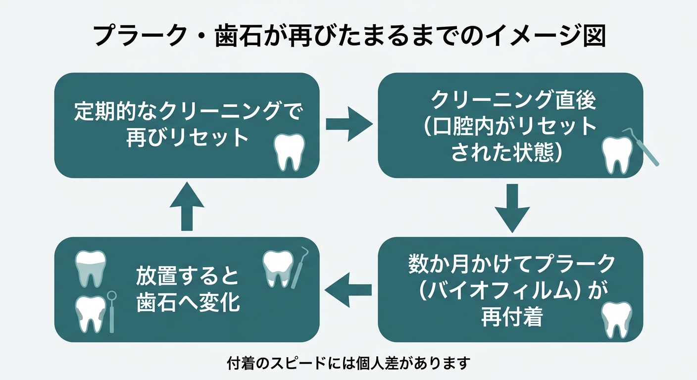 なぜその頻度なのか(通院間隔の根拠)